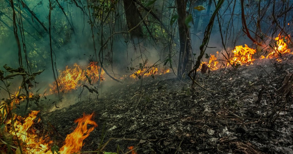 I was selected for the R&D&nbsp;Group!