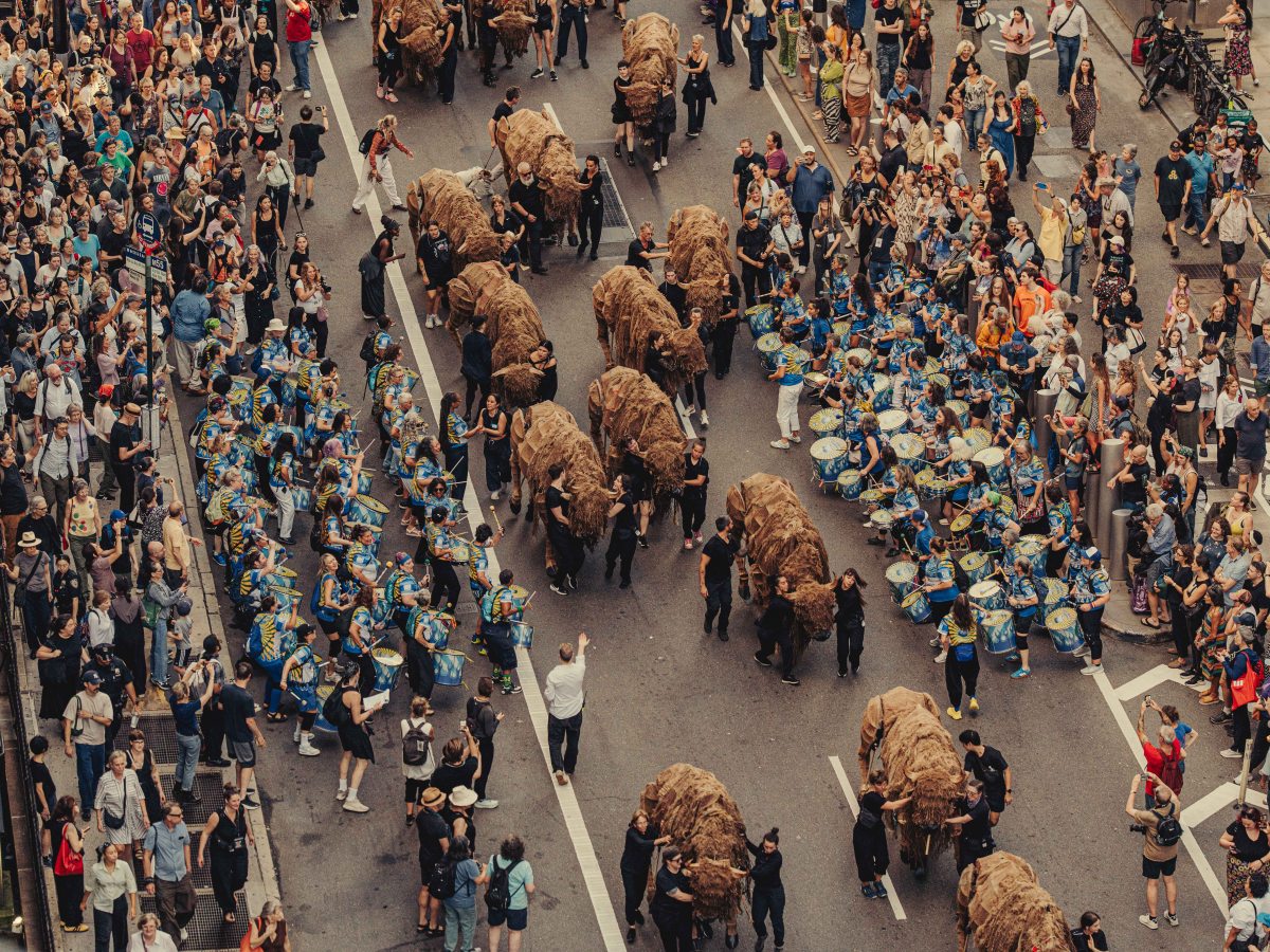 Performing with a herd of 40 life-size puppet Buffalo in the Manhattan Financial District and Downtown&nbsp;Brooklyn!