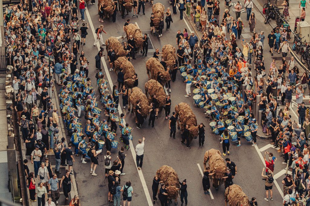 Performing with a herd of 40 life-size puppet Buffalo in the Manhattan Financial District and Downtown&nbsp;Brooklyn!